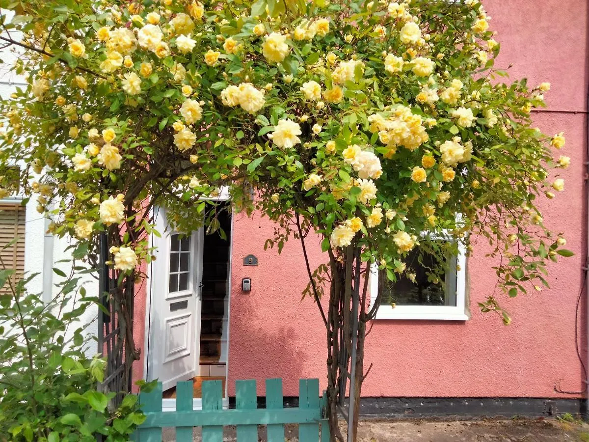 Garden Cottage Guisborough